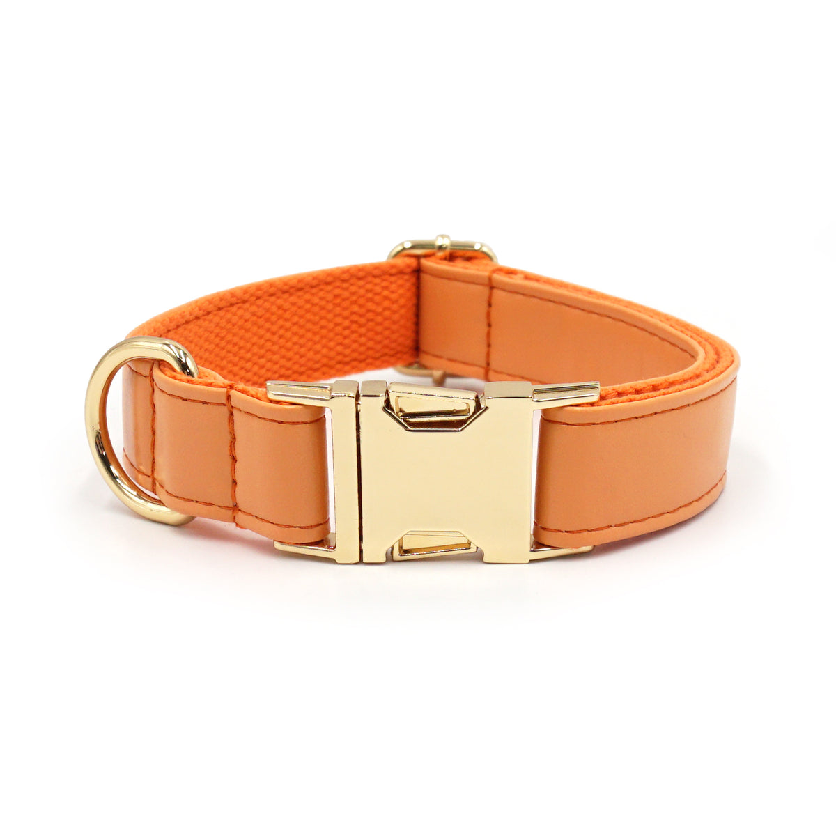 Le Doré: Leather-look dog collar with gold buckle