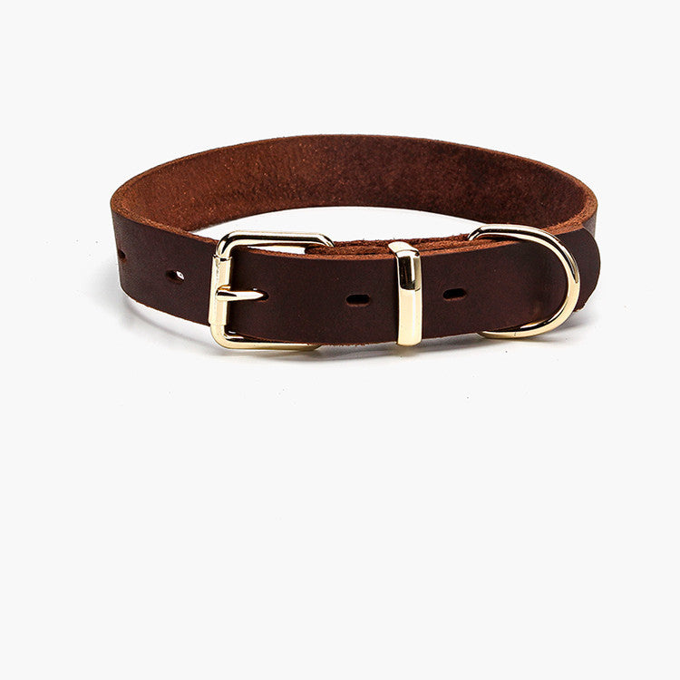 Dark brown cowhide dog collar with gold-tone buckle