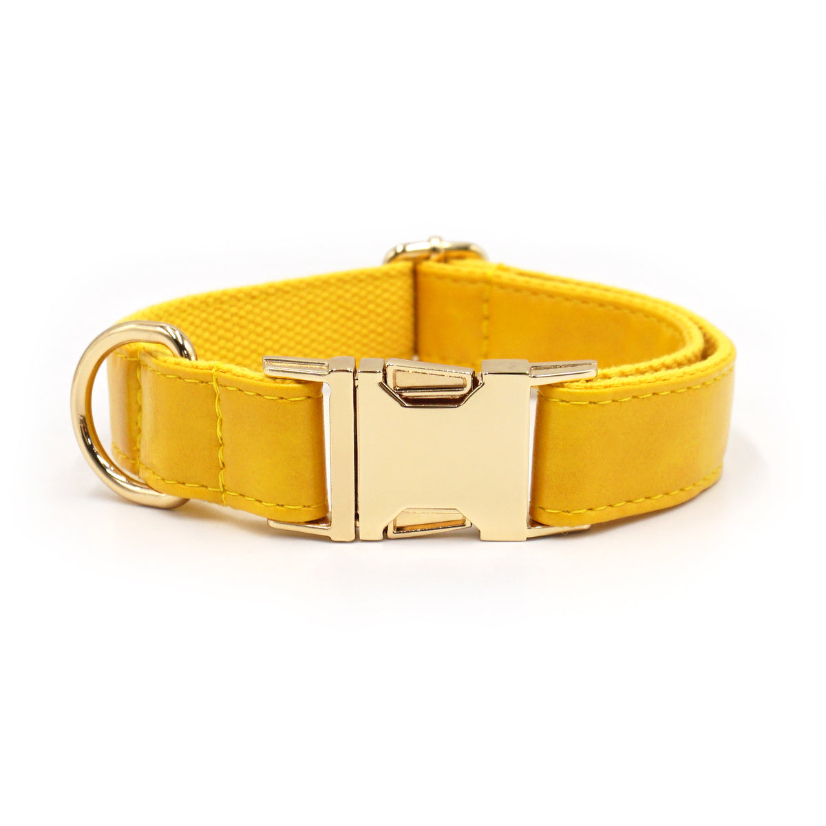 Le Doré: Leather-look dog collar with gold buckle