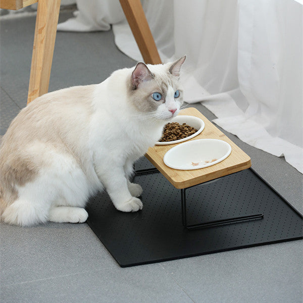 Cat eating from a raised bamboo and iron double feeder