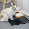 Cat eating from a raised bamboo and iron double feeder