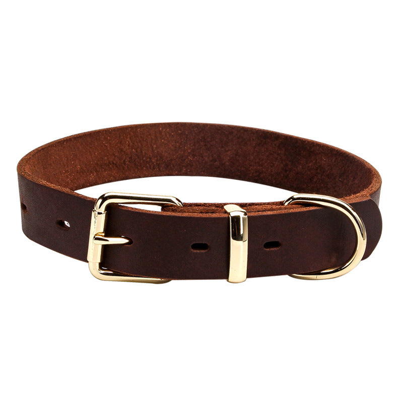 Cowhide dog collar, front view